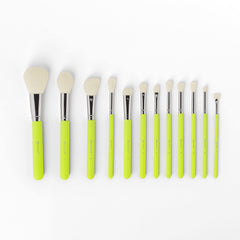 BH Neon Brushes